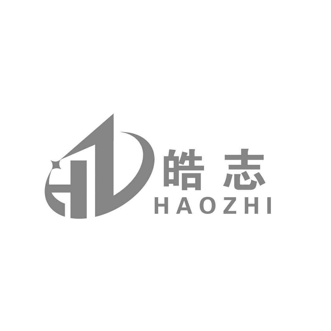皓志 em>hz/em>