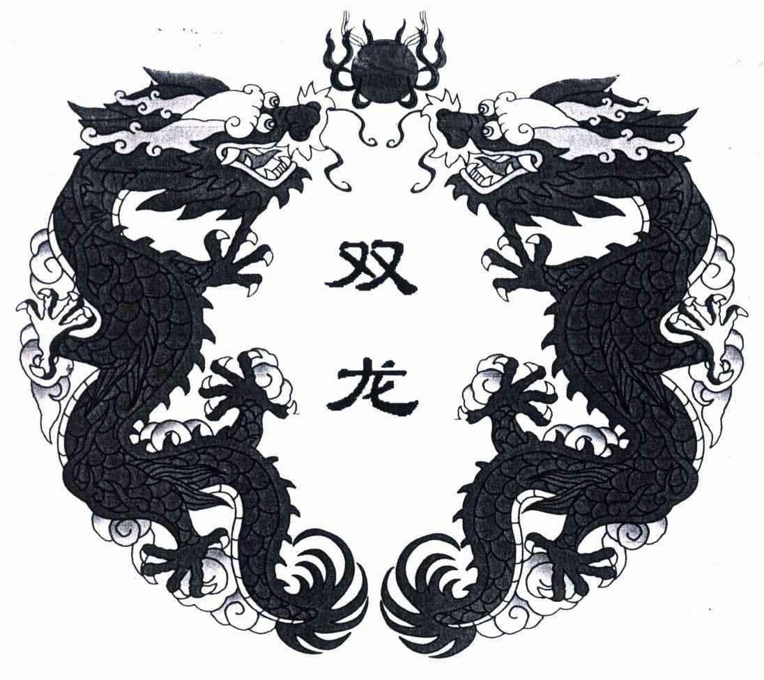 双龙- 商标 - 爱企查