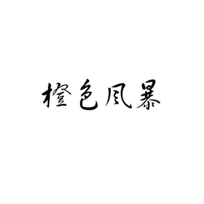橙色风霸_企业商标大全_商标信息查询_爱企查