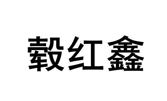 海南鑫生珠宝有限公司(海南鑫生源投资有限公司)