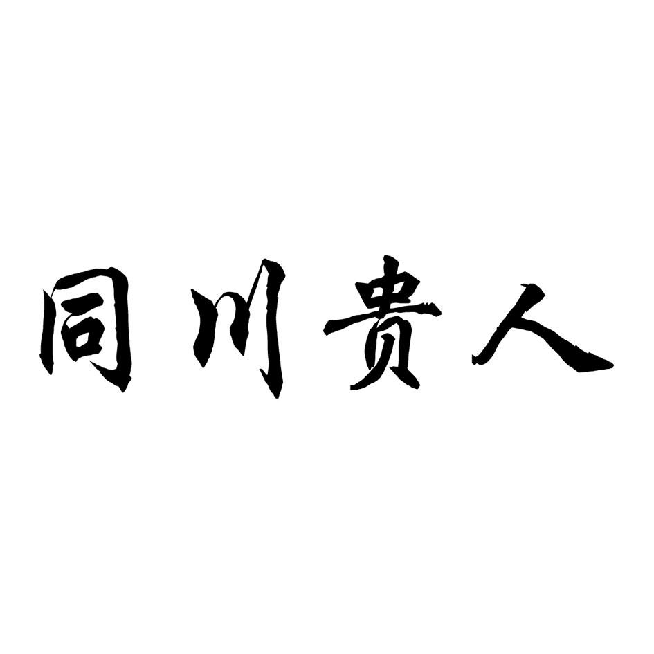 深圳同川科技有限公司(深圳艾特讯科技有限公司)