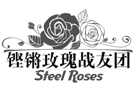 铿锵玫瑰战友团  em>steel /em>  em>roses /em>