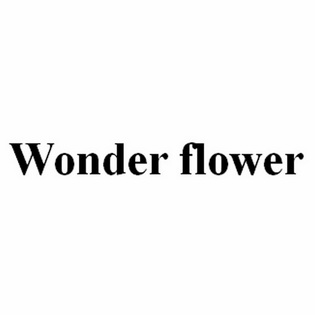 wonder flower