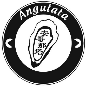 安哥那塔 angulata