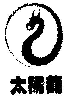 太阳龙                                    
