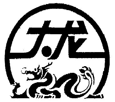 大龙燿logo图片