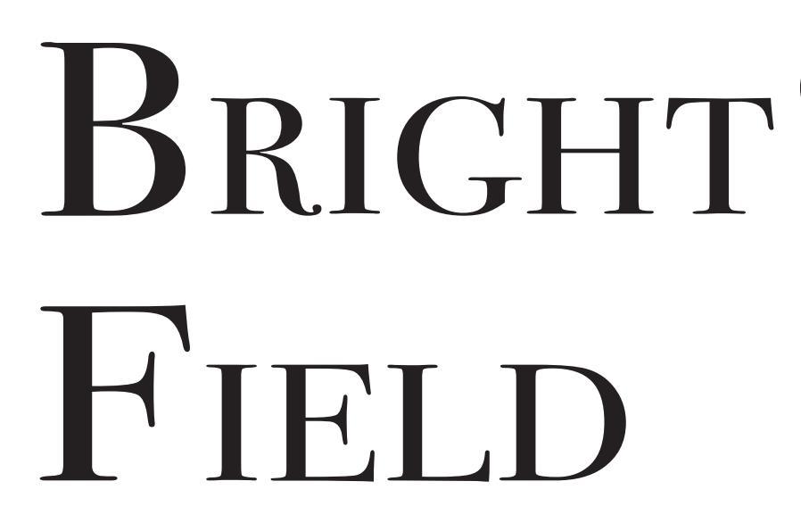  em>bright /em>  em>field /em>