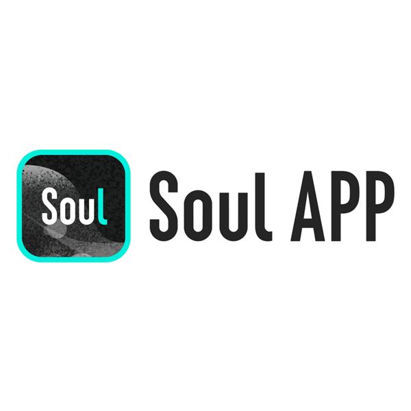 soul里的图标解释图片