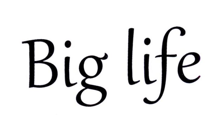  em>big /em>  em>life /em>