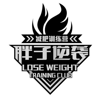 减肥训练营logo图片