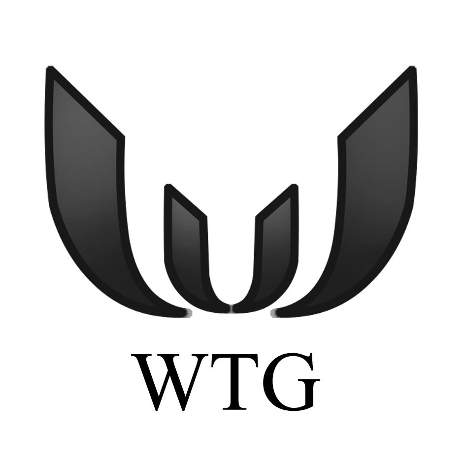 wtg_企业商标大全_商标信息查询_爱企查