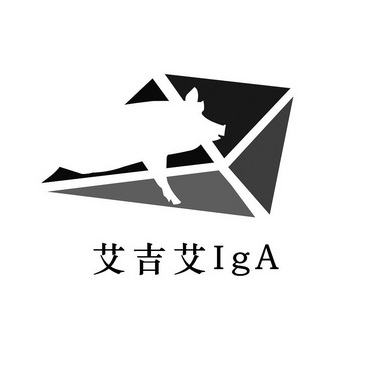 艾吉艾 iga