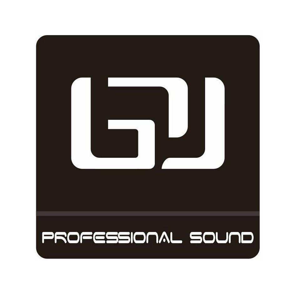  em>professional /em>  em>sound /em>  em>gy /em>