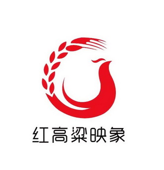 亮映像_企业商标大全_商标信息查询_爱企查