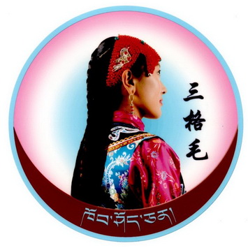 机构:河南巨商知识产权服务有限公司三个毛商标注册申请三申请/注册号