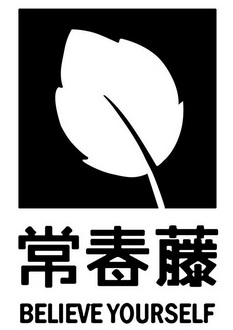 常春藤  em>believe /em>  em>yourself /em>