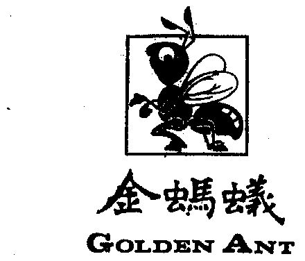 金蚂蚁  em>golden /em>  em>ant /em>