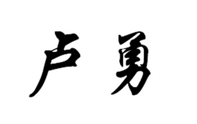 卢勇- 商标 - 爱企查