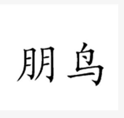  em>朋 /em> em>鸟 /em>