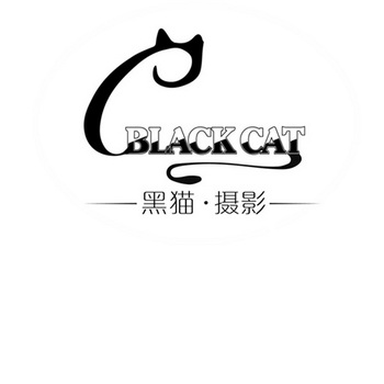 em>黑猫 /em>· em>摄影 /em>  em>black /em>  em>cat /em>