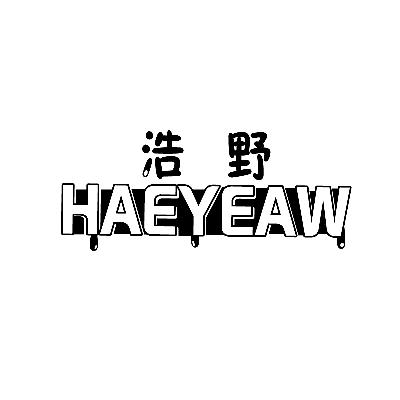 浩野 em>haeyeaw/em>