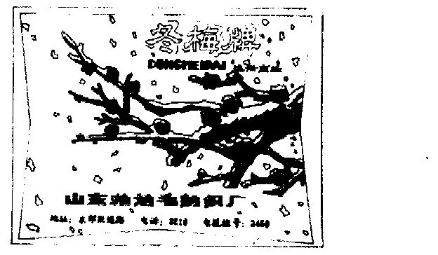 冬梅