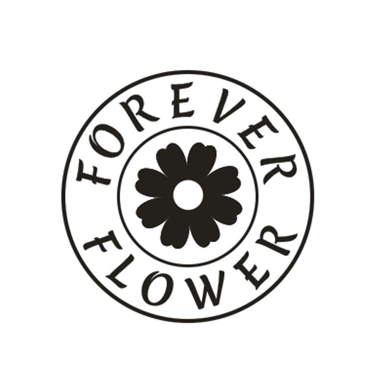 forever花体字体复制图片