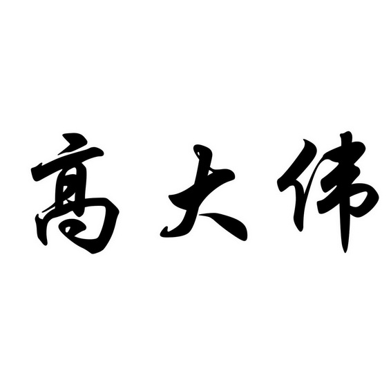  em>高大伟 /em>