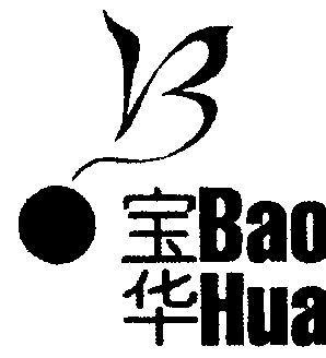  em>宝华 /em>
