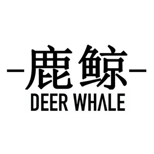 鹿鲸 deer whale