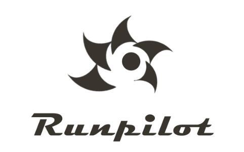  em>run /em> em>pilot /em>
