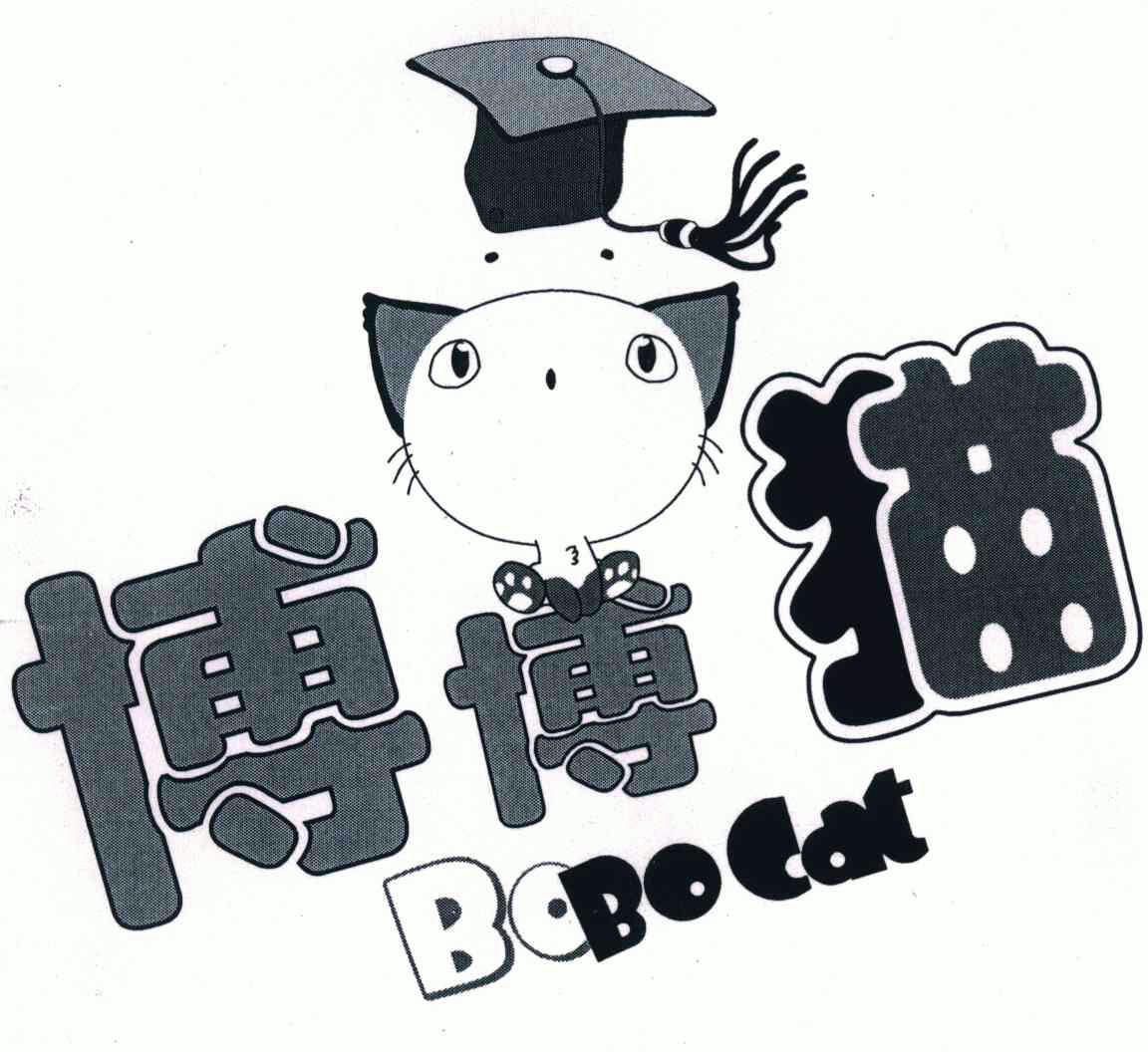 博博猫 bobocat                            