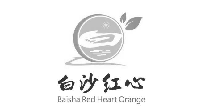 白沙红心