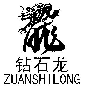  em>钻石 /em>龙;龙