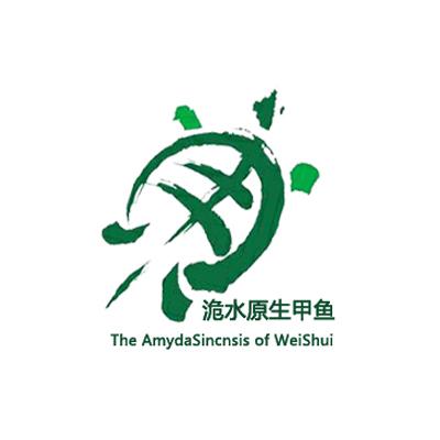 洈水原生甲鱼 the amydasincnsis of weishui 