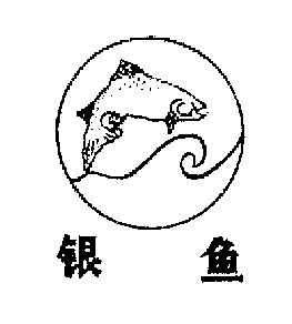 银鱼