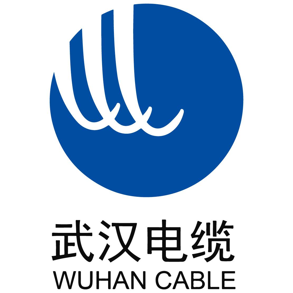 em>武汉/em em>电缆/em wuhan cable