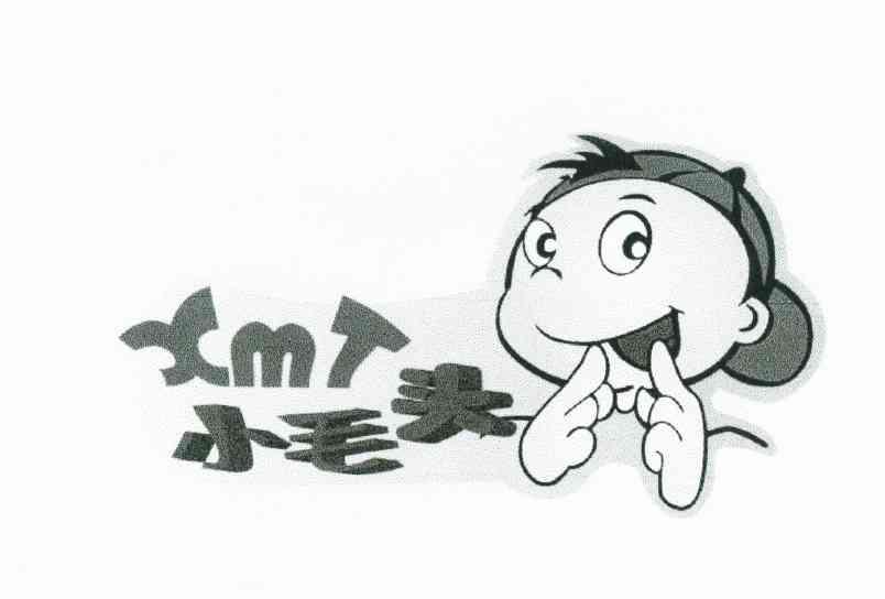 小毛头 em>xmt/em>