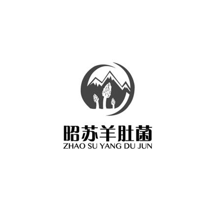  em>昭苏 /em> em>羊肚 /em> em>菌 /em>