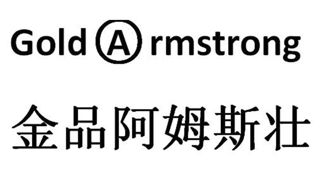 金品阿姆斯壮 gold a em>rmstrong/em>