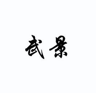 武景- 企业商标大全 - 商标信息查询 - 爱企查