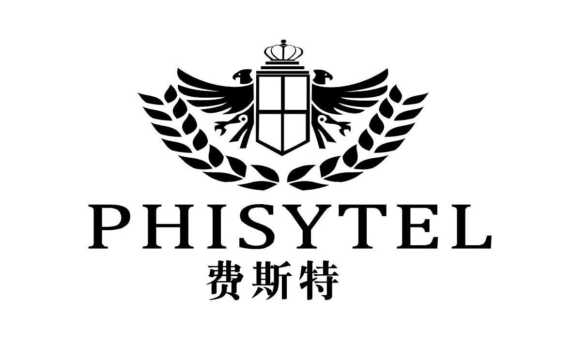 费斯特 phisytel
