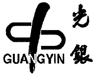 2003-01-06国际分类:第39类-运输贮藏商标申请人:山西光银科贸有限