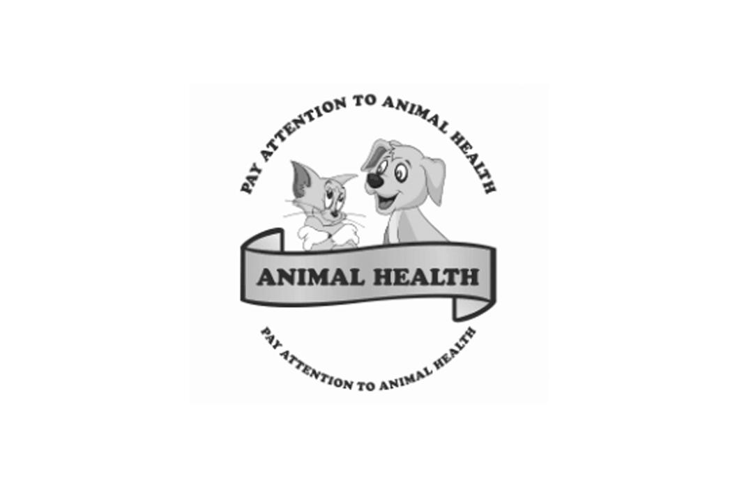 pay attention to animal health animal