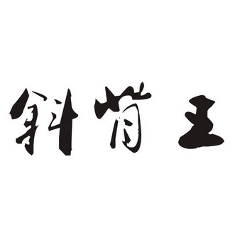  em>斜 /em> em>背 /em>王