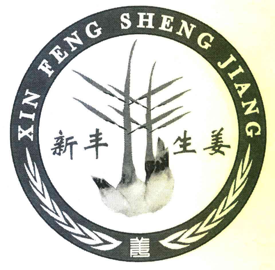 姜 新丰 em>生姜 /em>