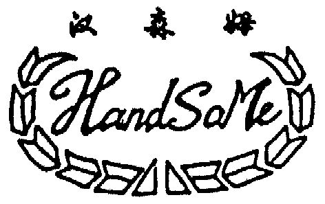  em>汉森姆 /em> em>handsome /em>