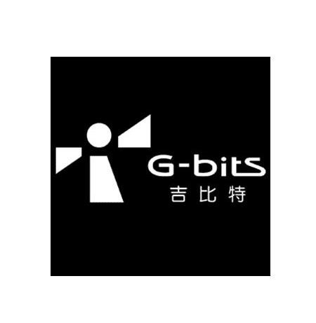  em>吉比特 /em> g-bits