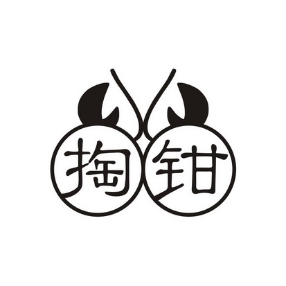  em>掏 /em> em>钳 /em>