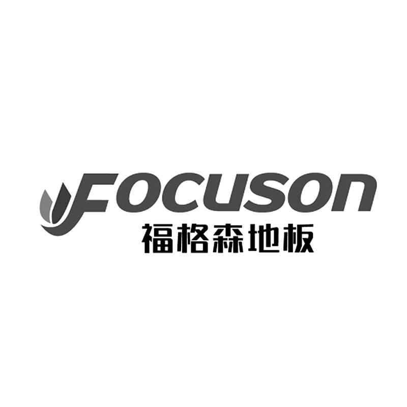 福格森地板focuson_企业商标大全_商标信息查询_爱企查